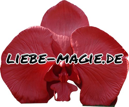 mmhh.de